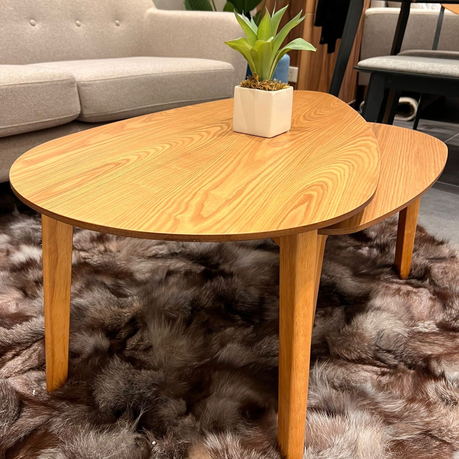 Parva Coffee Table - Unica Interior